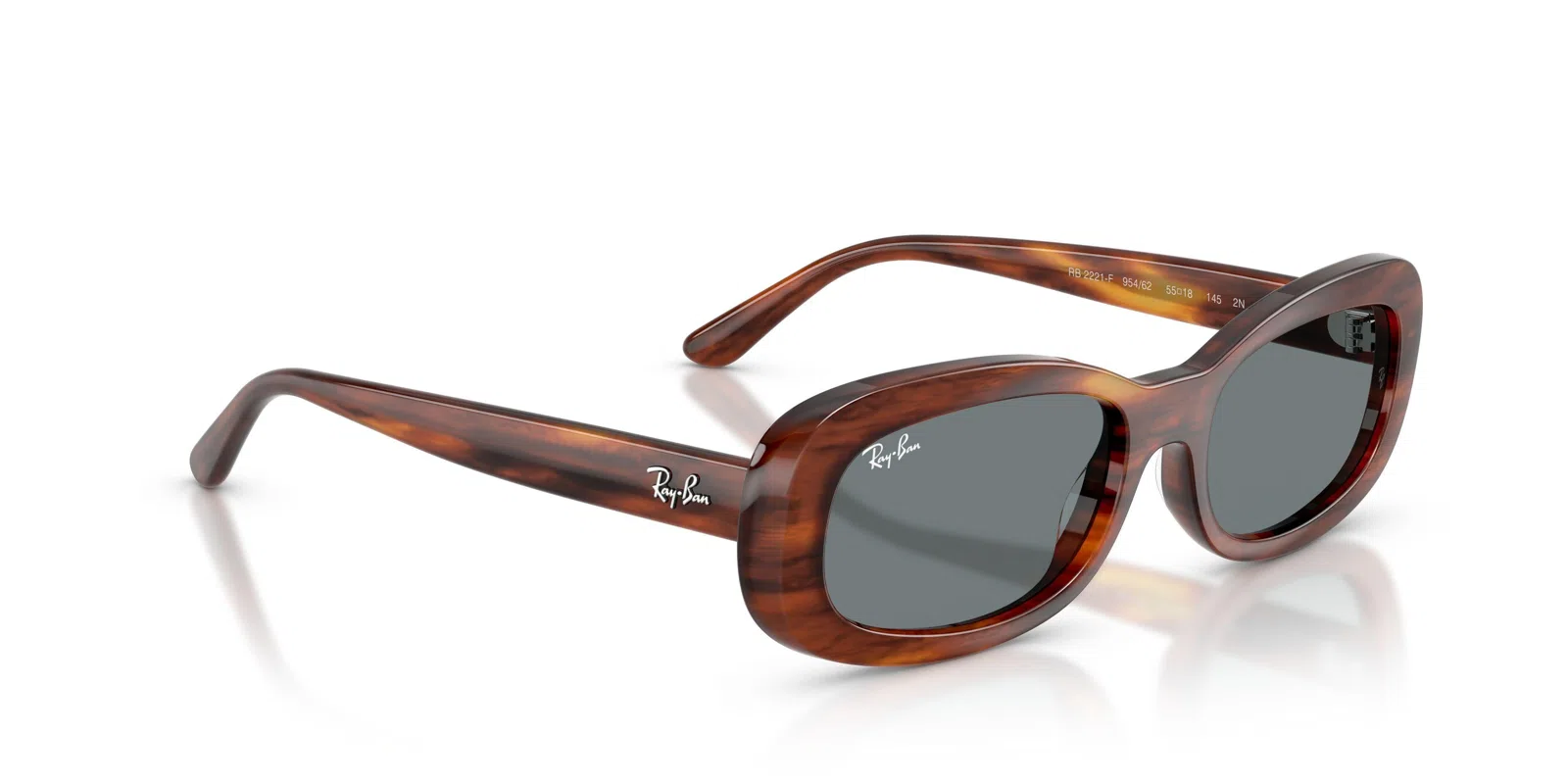 Ray-Ban 2221F Sunglasses - view 33